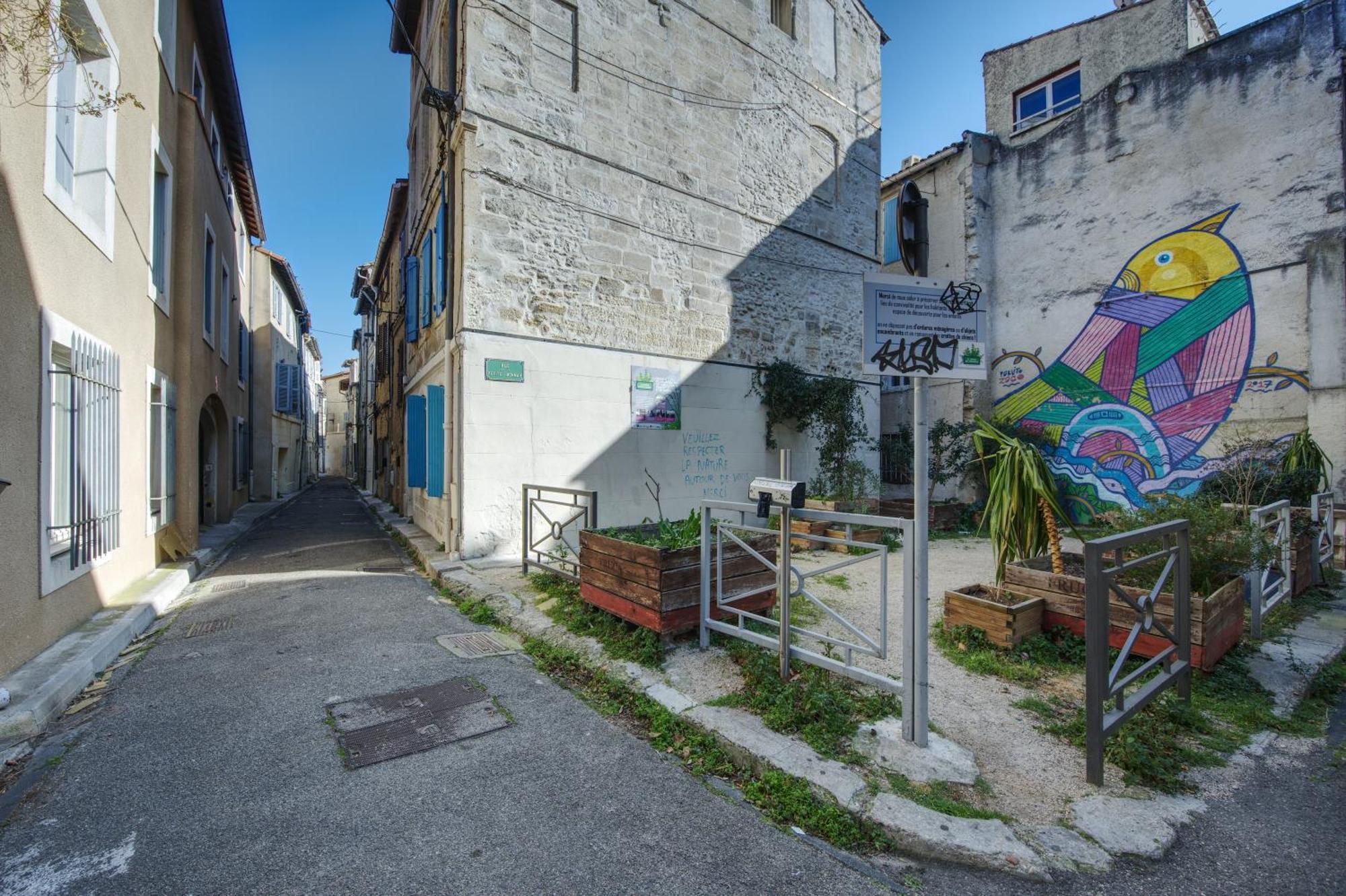 Appartement Cosy Avignon Centre-Ville Kültér fotó